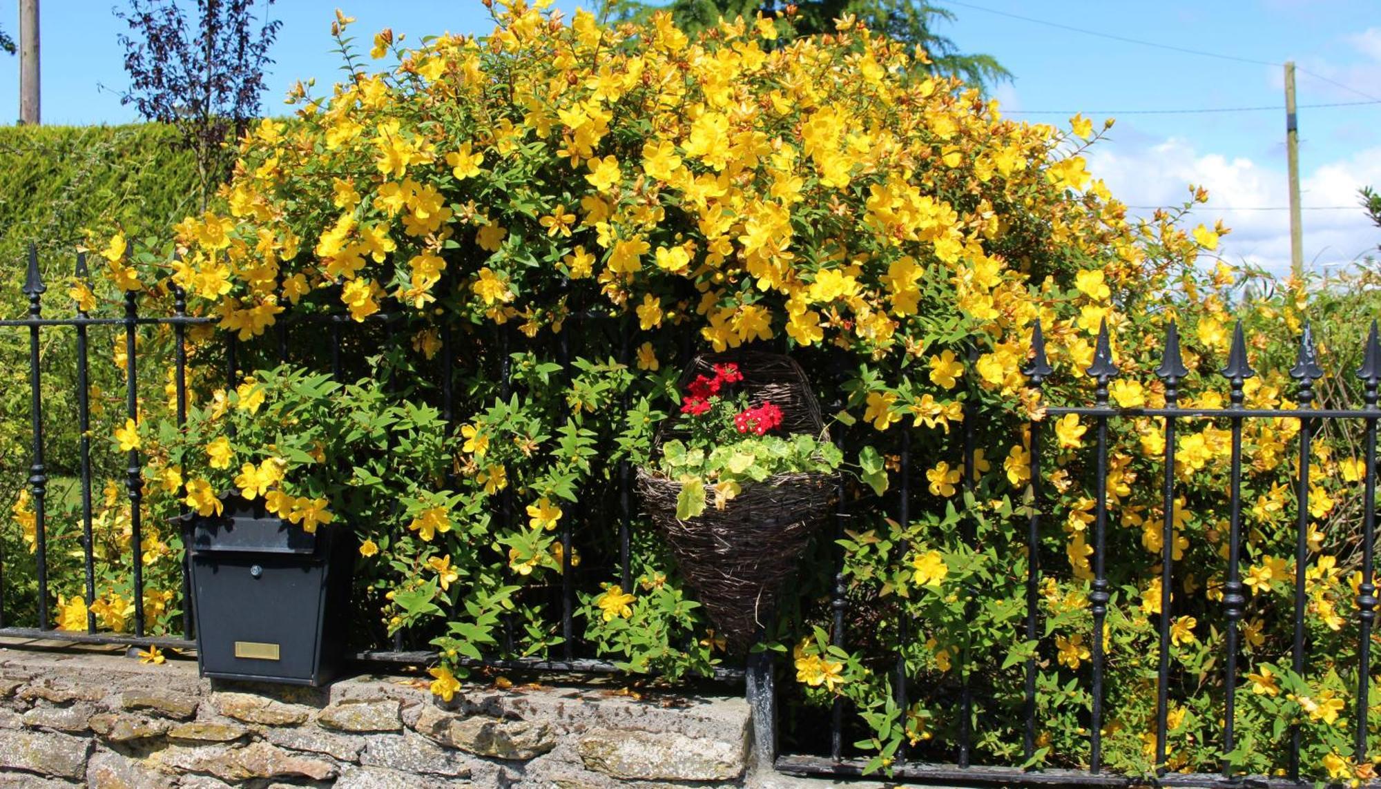 Charlotte'S Way B&B Banagher Exterior foto